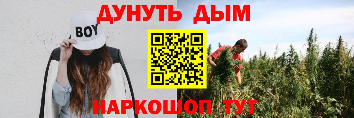 Краснознаменск  Шишки марихуана OG Kush  Канабис Amnesia  Канабис план  Вход с VPN  Бошки Шишки Bruce Banner 