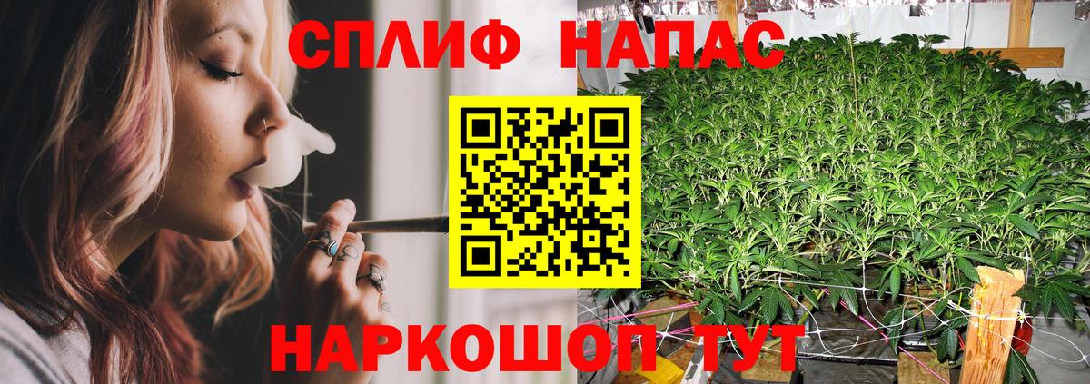 Марихуана OG Kush Краснознаменск